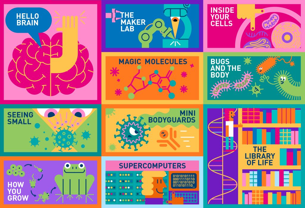 crickkids landingpage aw6